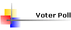 Voter Poll